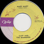 wasp