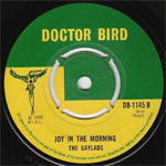 gaylads joy in the morning doctor bird